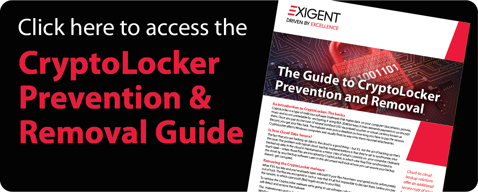 CryptoLocker Prevention Whitepaper, Download a Complimentary Whitepaper on CryptoLocker Prevention &#038; Removal